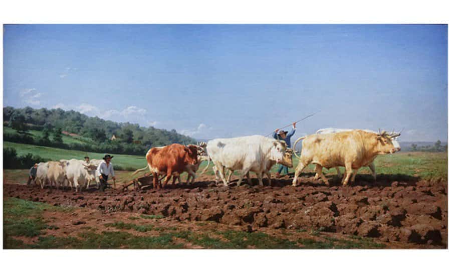realisme Rosa Bonheur Labourage nivernais ou habillage des Vignes 1869,